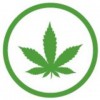 Cannabis Insurance Pros