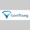 Gem Young Insurance & Financial Services