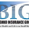 Bushko Insurance Group