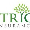 Patrick Insurance Group