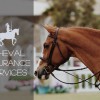 Cheval Insurance Service