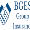 BGES Group