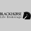 Blackhorse Group