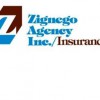 Zignego Agency Insurance