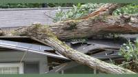 Storm Damage Insurance Claims